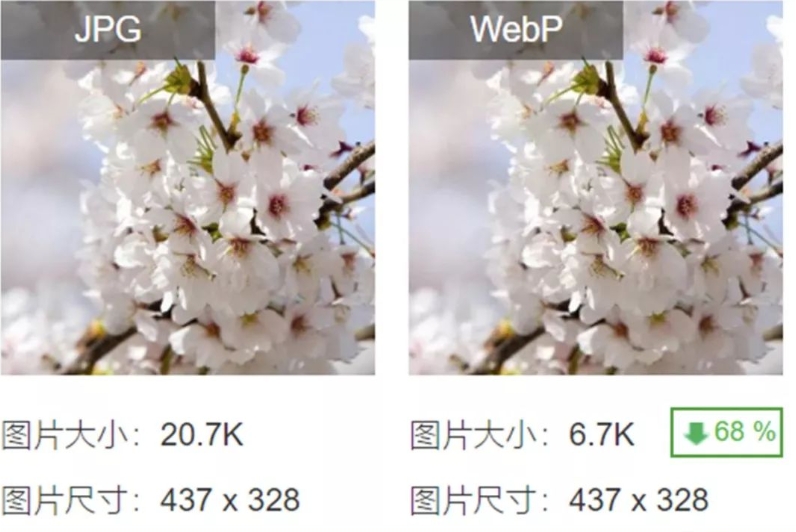 WebP vs. JPEG: Who is the real king? 