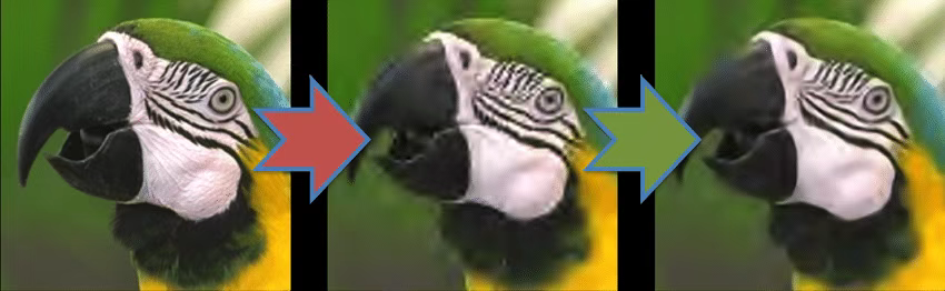Comparison of Lossless Image Formats: PNG, WebP, AVIF, and JPEG XL 