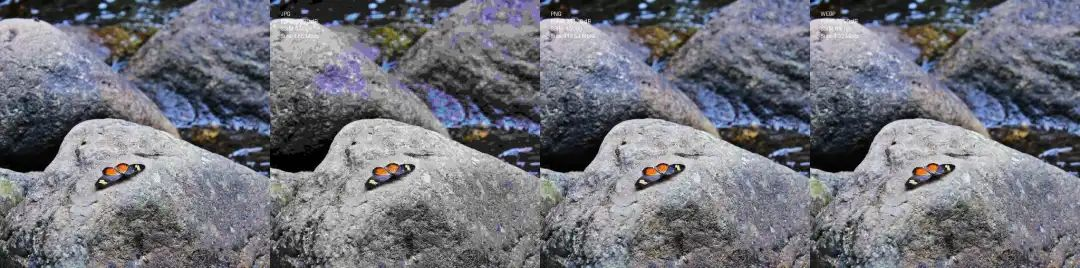 Optimizing Image Formats in Computer Vision and Image Processing: PNG, JPG, and WEBP in OpenCV 