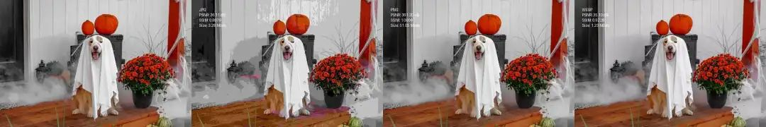 Optimizing Image Formats in Computer Vision and Image Processing: PNG, JPG, and WEBP in OpenCV 